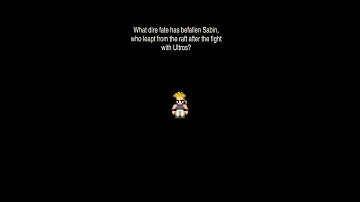 Final fantasy 6 Pixel Remaster Perfect Stats Walkthrough 6 Sabin Scenario