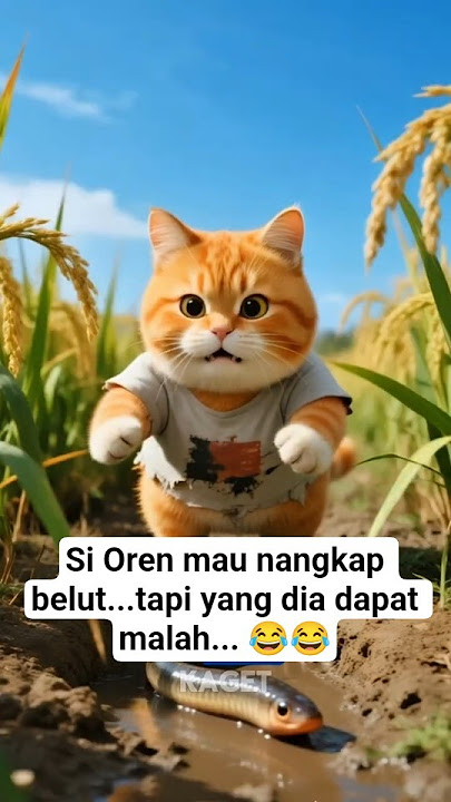 Si kucing nangkap belut di sawah. tapi yang dia dapatkan malah tidak terduga 😂 #short #shortvideo