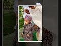 Sidhu Moosewala ਦੀ ਬਰਸੀ ਮੌਕੇ Chota Sidhu ਦੀਆਂ ਮਾਂ Charan Kaur ਨਾਲ ਭਾਵੁਕ ਤਸਵੀਰਾਂ