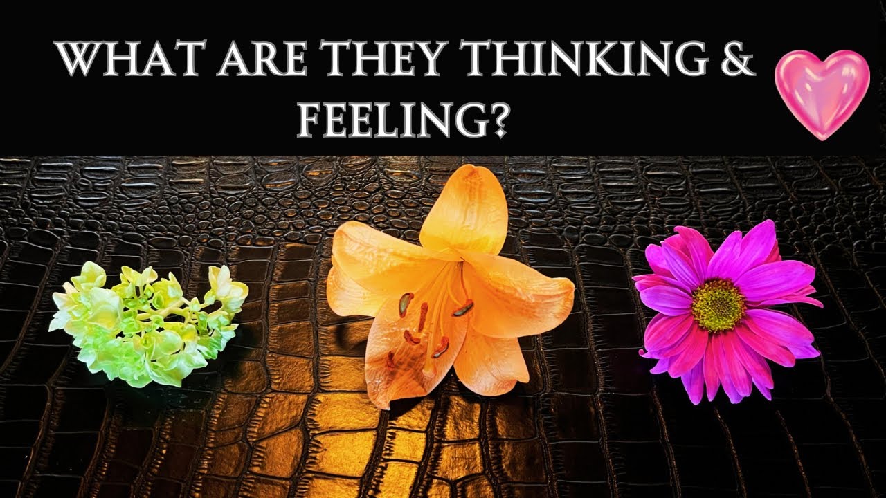 Pick A Card🔮What Is Your PERSON Really Thinking💭And FEELING About You? Intuitive Flower Reading 🌸