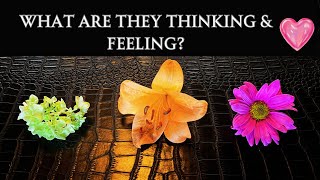 Pick A CardWhat Is Your PERSON Really ThinkingAnd FEELING About You? Intuitive Flower Reading