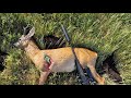 Deer hunt 308 win with Pard NV007SP