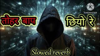 तोहर बाप छियो रे।।tohara baap chiyo re #lofi song (#slowed reverb) hai singer #bansidhar Chaudhary