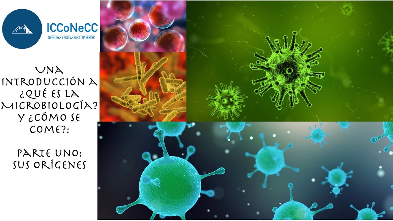 Cazadores de Microbios
