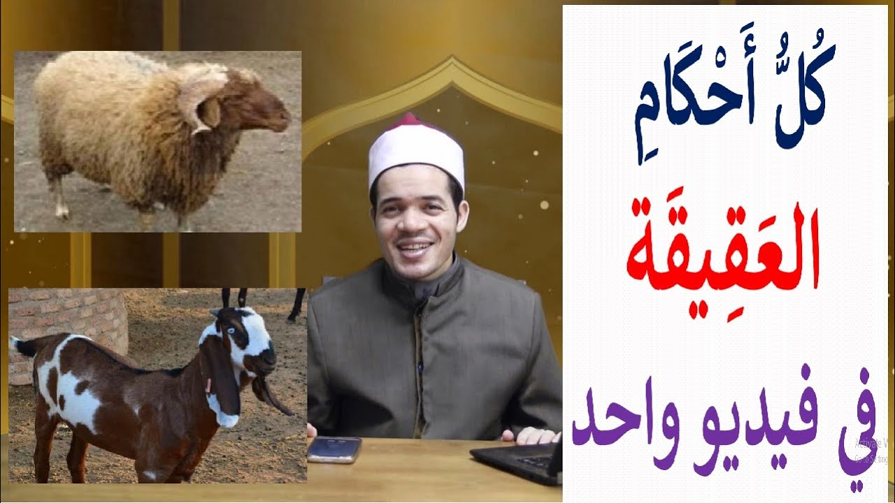 العقيقة من الألف إلى الياء