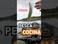 Pesca y Cocina 🔥🔥🔥 #fishing #pesca #cocinaalairelibre #pejerrey