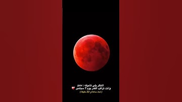 تلاوة عطرة #القرآن_الكريم #راحة_نفسية #صلوا_على_النبي #تلاوة_خاشعة