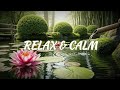 🎶 Relaxing Guitar Music - Acoustic - Calming Music for Stress Relief, Studying