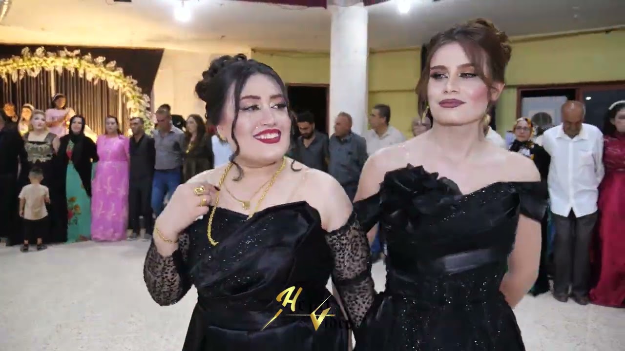 اجمل فصل كردي للفنان #محمد_شيخموس  #عرس_آلان