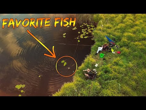 Video: Hur Man Fiskar I En Flödande Flod