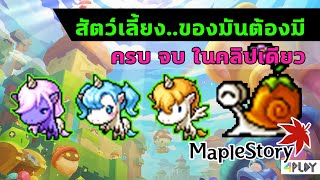 🍁MapleStory สัตว์เลี้ยง..ของมันต้องมี เข้าใจง่ายๆในคลิปเดียว   [ เมเปิ้ลเดอะซีรีส์ EP.4 ]🍁