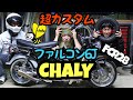 チーメンの超カスタムシャリー紹介！ファルコン6J？！シャリー　ダックス　モンキー　4mini