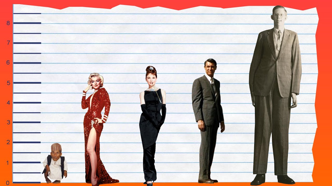 How Tall Is Marilyn Monroe? Height Comparison! YouTube