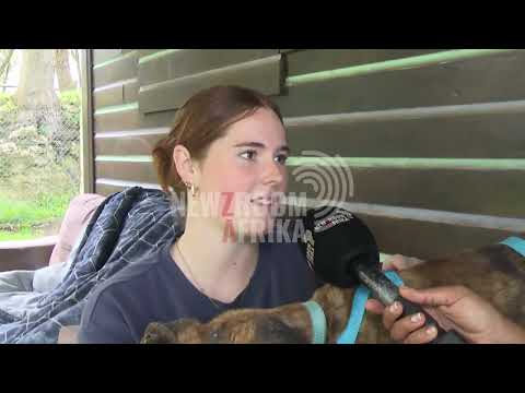 Citizens urged to adopt animals