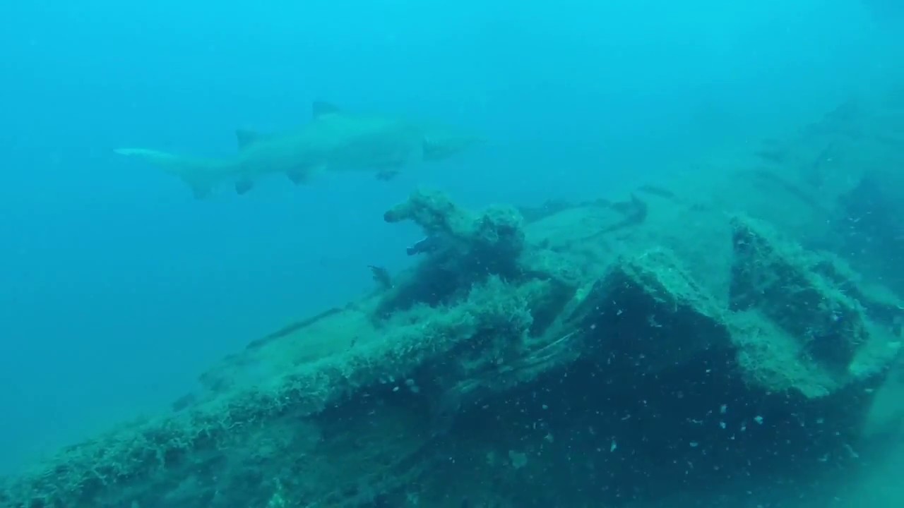 Diving on the U352-06052018