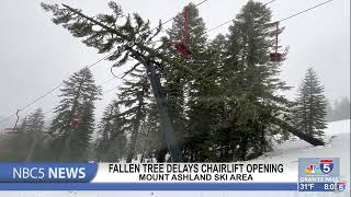 Fallen tree will delay chairlift opening at Mount Ashland