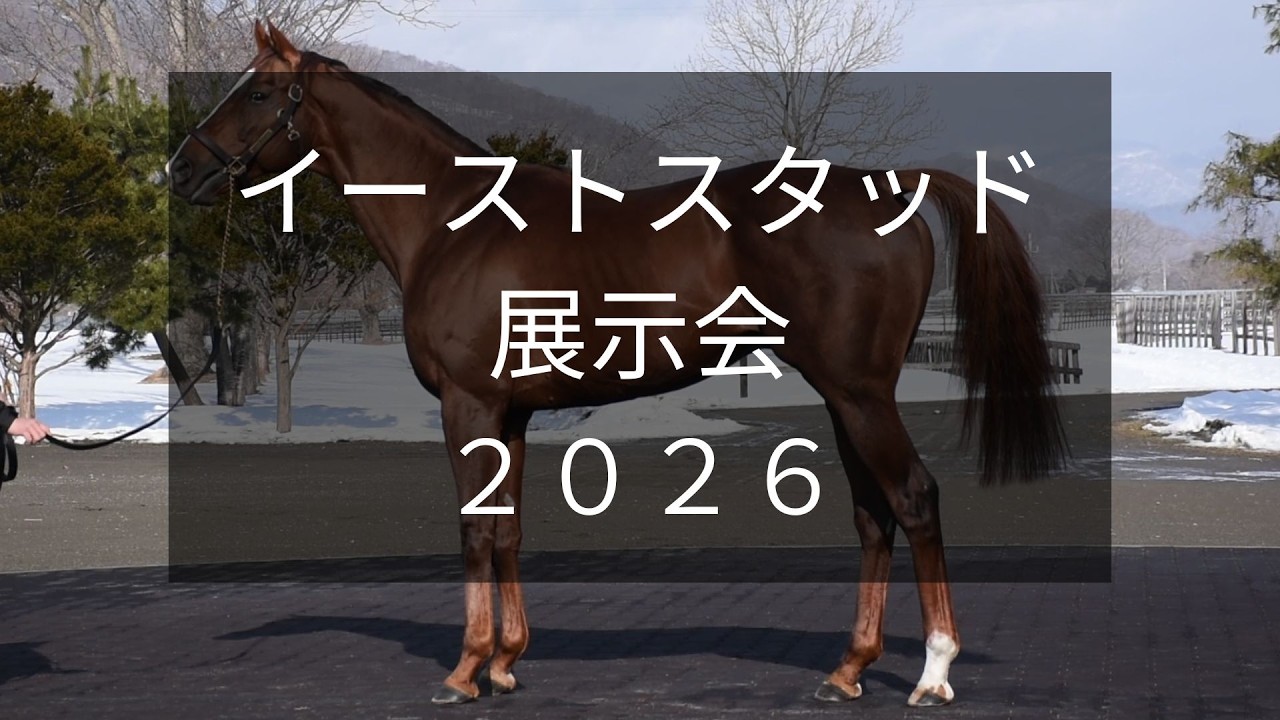 【イーストスタッド展示会2026】メイショウハリオやポタジェなど25頭が登場！