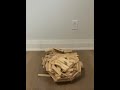 What Happens if You Remove Two Planks?