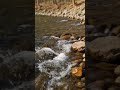 PescaZone