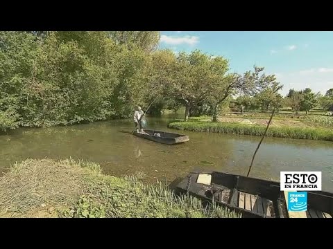 Las marismas de Bourges, un pequeño paraíso en el Valle del Loira