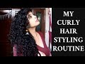 My Curly Hair Styling Routine: Volume AND Definition!