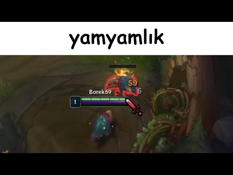 Sıradan Bir Neeko Videosu