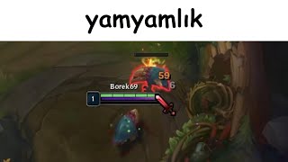 Sıradan Bir Neeko Videosu