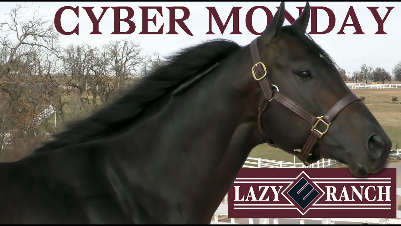 AQHA Sire: CyberMonday Commercial #3 (2021-2022c)