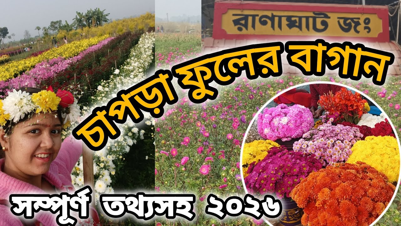 Chapra flower garden Ranaghat| চাপড়া ফুলের বাগান| #flowers #ranaghat