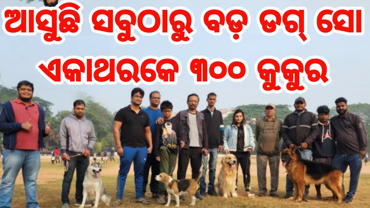 Odisha Dog Show 2022 Biggest Announcement Update over 300 dogs with