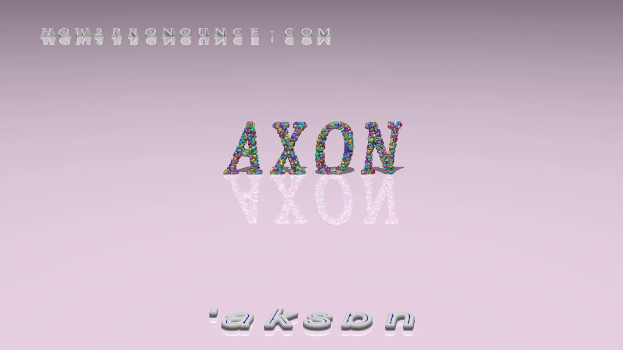 axon - pronunciation + Examples in sentences and phrases