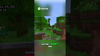 Minecraft Building Secrets - See More Chunks! #minecraft #survivalmode #gaming