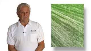 Why Is My Artificial Turf Melting?