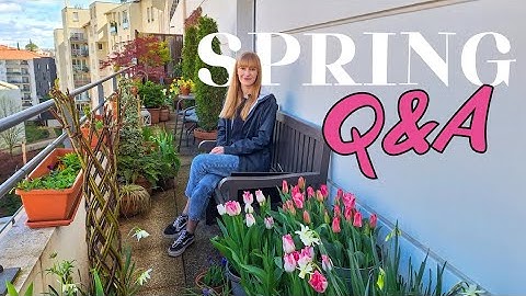 Spring Container Garden Q&A: Fertilizing, Overfilling My Space & Roses For Shade?