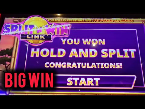Cats Split N Win Link Hit Nice!