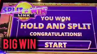 Cats Split N Win Link Hit Nice! Wealth
