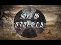 DayZ RP STALKER: От жмыха к звёздам. (часть-25)