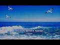 Blue Ocean Series 3- Ocean Waves & Seagulls White Noise |1 Hour Relaxing Sea Sound for Sleep & Focus