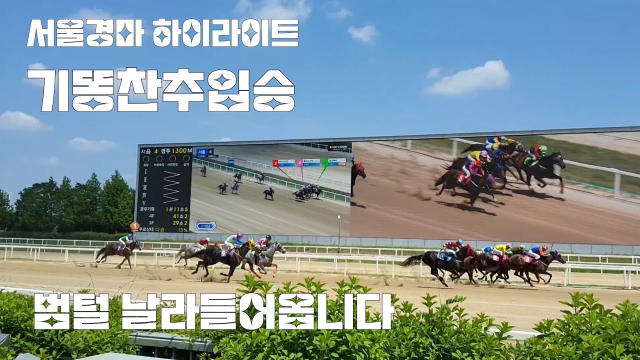 맨뒤에서 추입작전 노리다가 결승선 날라들어옵니다!