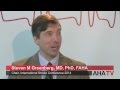 Interview with Dr. Stephen M Greenberg, Chair of the International Stroke Conference 2014