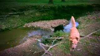 Daisy Jane Play Time