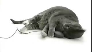Shaw@Home High-Speed Internet Ad [2001]