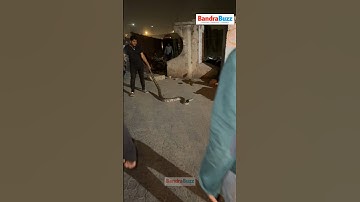 A brave individual rescued a 12-foot Indian rock python at Bandra Reclamation