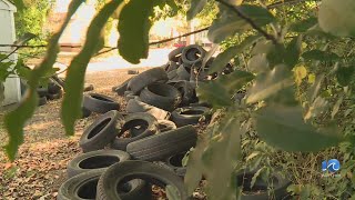 Suffolk launches environmental crimes task force