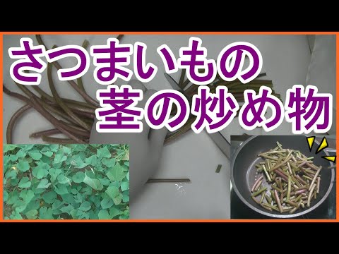 【料理】さつまいもの茎の炒め物【家庭菜園 レシピ】