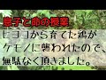 【命の授業】獣にやられたニワトリを食べる