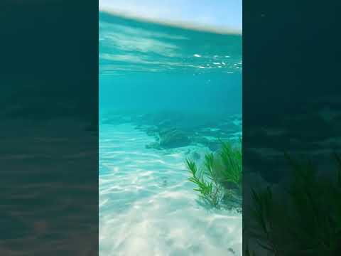Beach ⛱️ Beautiful day #trending #trendingshorts