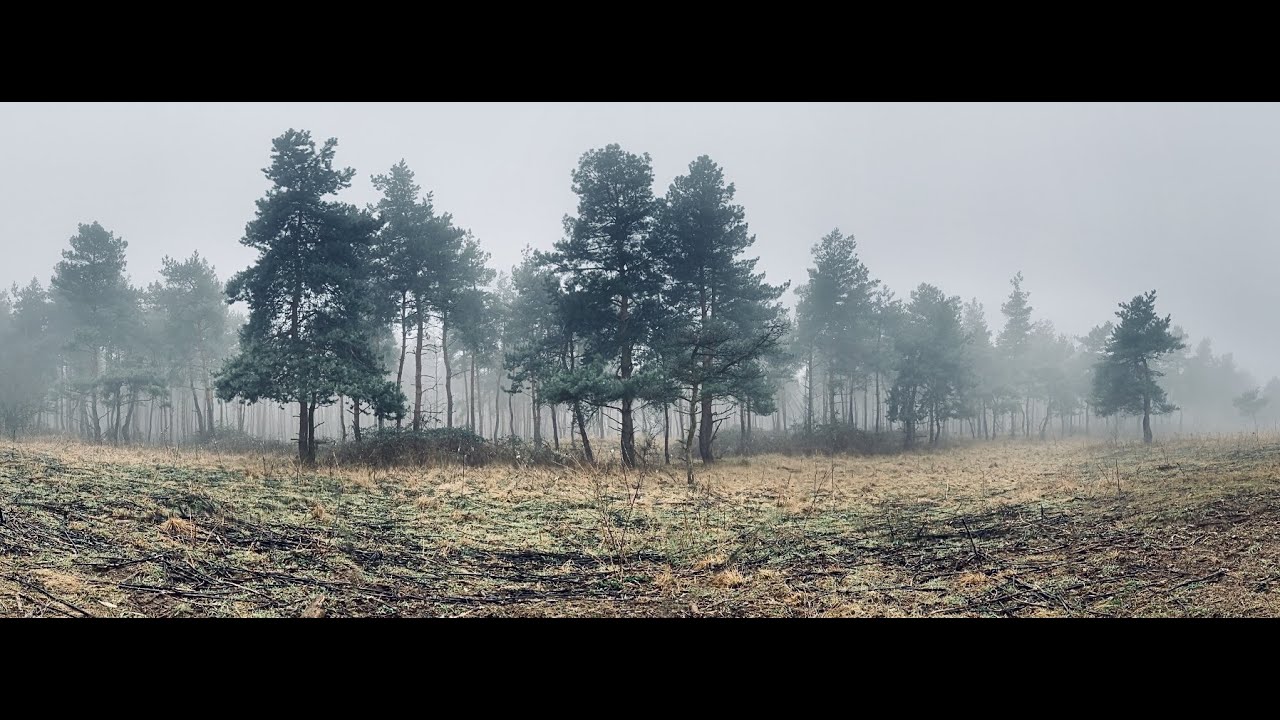 Egy vadfotós naplói - Harmadik rész  (A Gödöllői dombság)