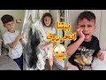 بيتنا انحرررق الله ستر يوسف