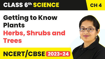 Herbs, Shrubs and Trees - Getting to Know Plants | Class 6 Science Chapter 4